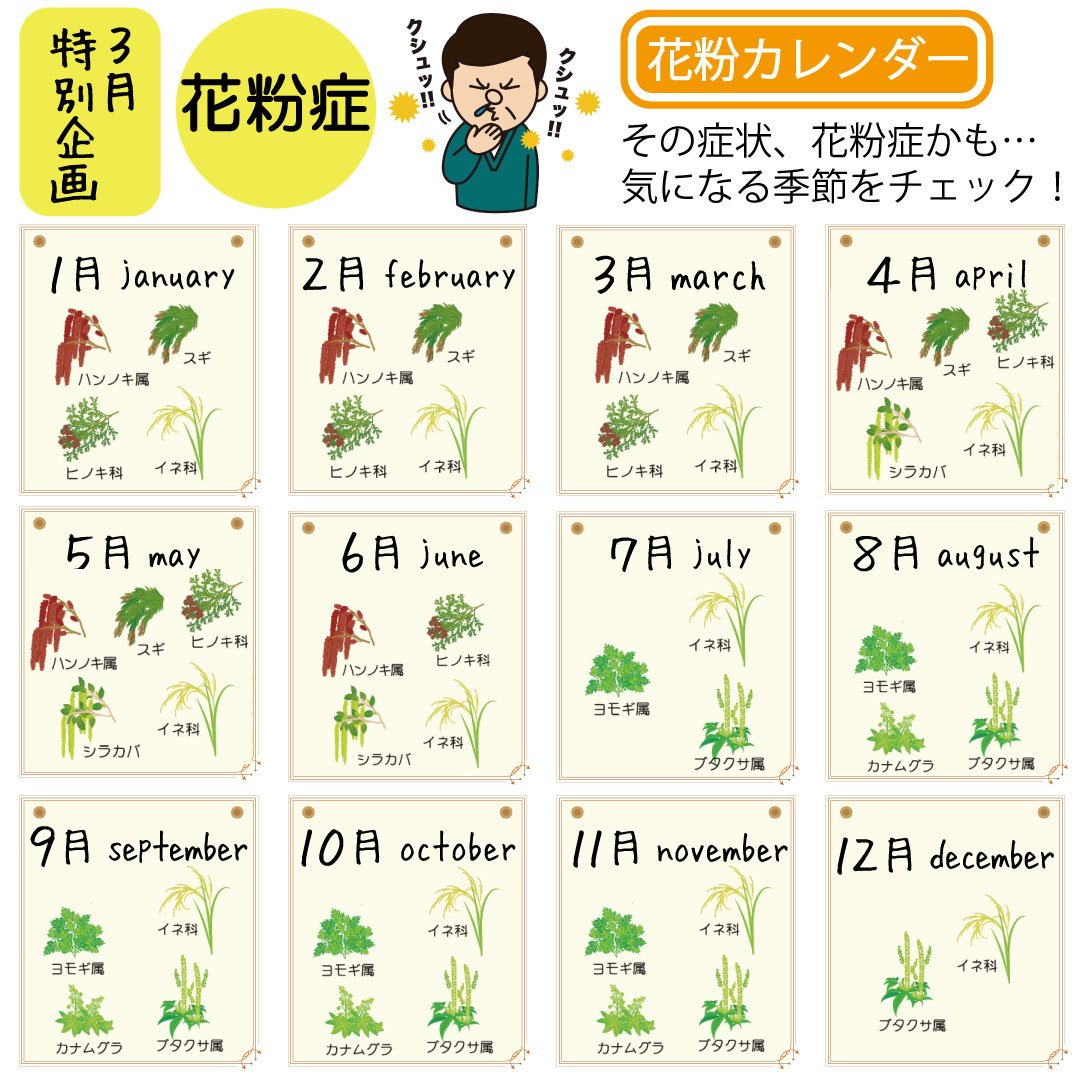 花粉症 コラム 株式会社ファーマシィ