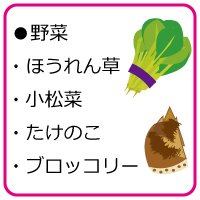 野菜.jpg